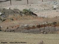 Imagine atasata: Dermatina - 2015.06.07 - 08.jpg